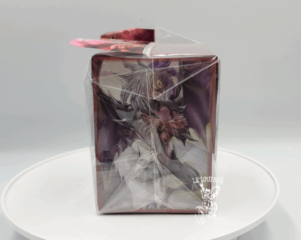 Yu-gi-oh! : Deck Box Jaden & Yubel – Image 4