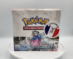 Pokemon : Box Force Temporelle
