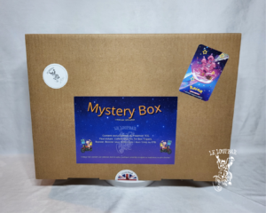 Mystery Box 2025 – Le cadeau parfait pour les fans de Pokémon TCG EN