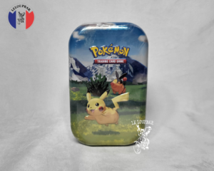 Pokémon : Héros Transcendant ME2.5 1 mini tin FR